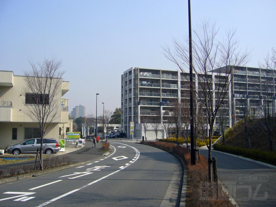はるひ野写真画像