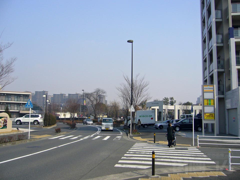 はるひ野写真画像