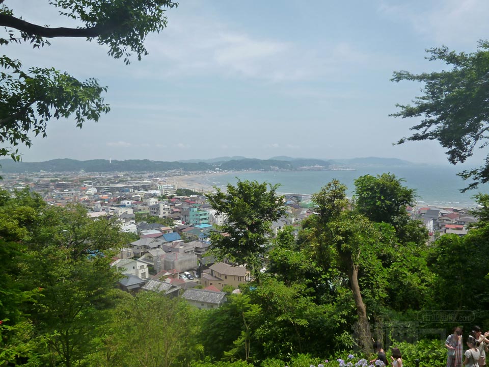 長谷寺から鎌倉市街写真画像