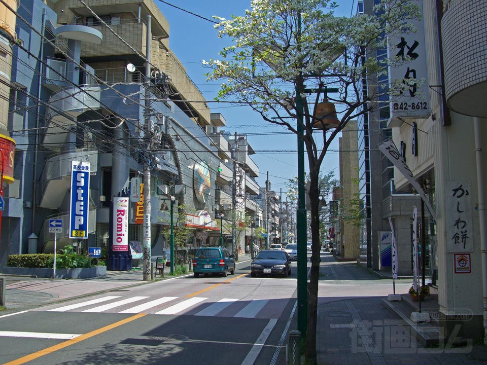 シャンテ大通り写真画像