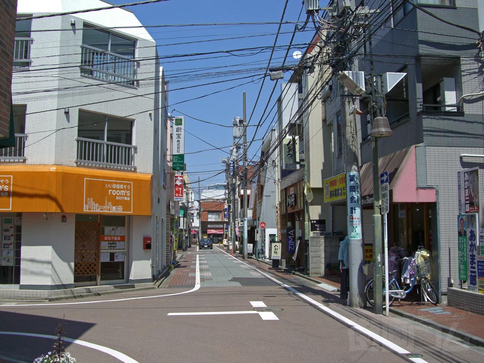 ハーブ通り写真画像