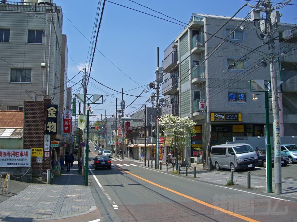 シャンテ大通り写真画像