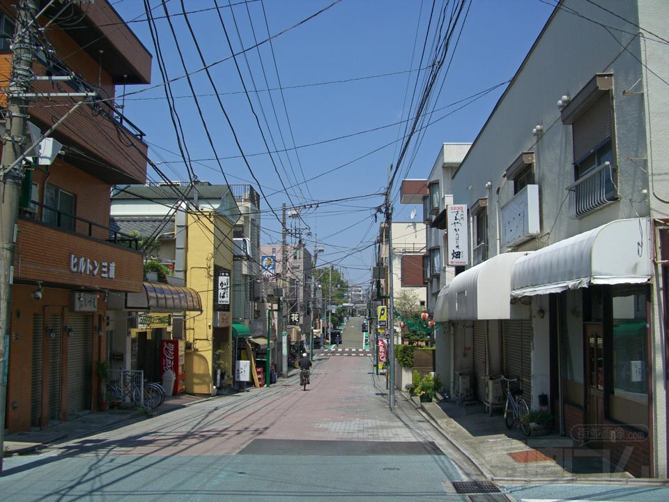 ビオラ通り写真画像