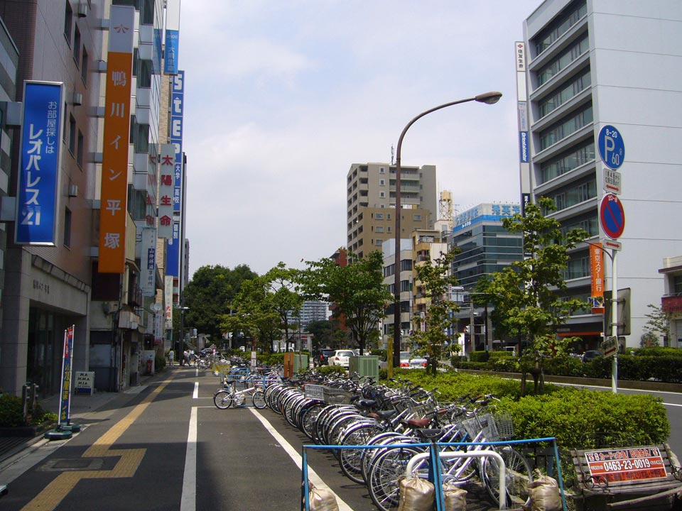 フェスタロード