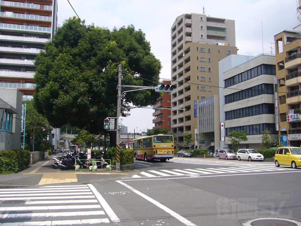 フェスタロード