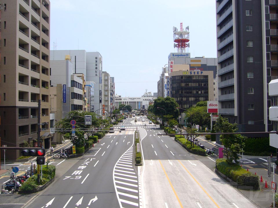 フェスタロード