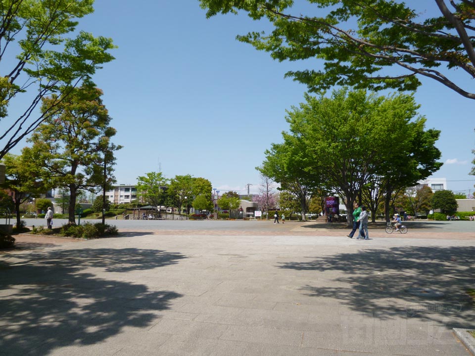 厚木市中央公園