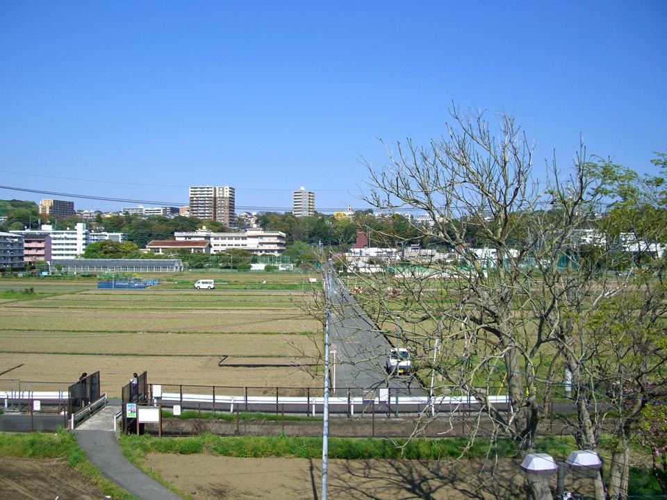 JR入谷駅前写真画像