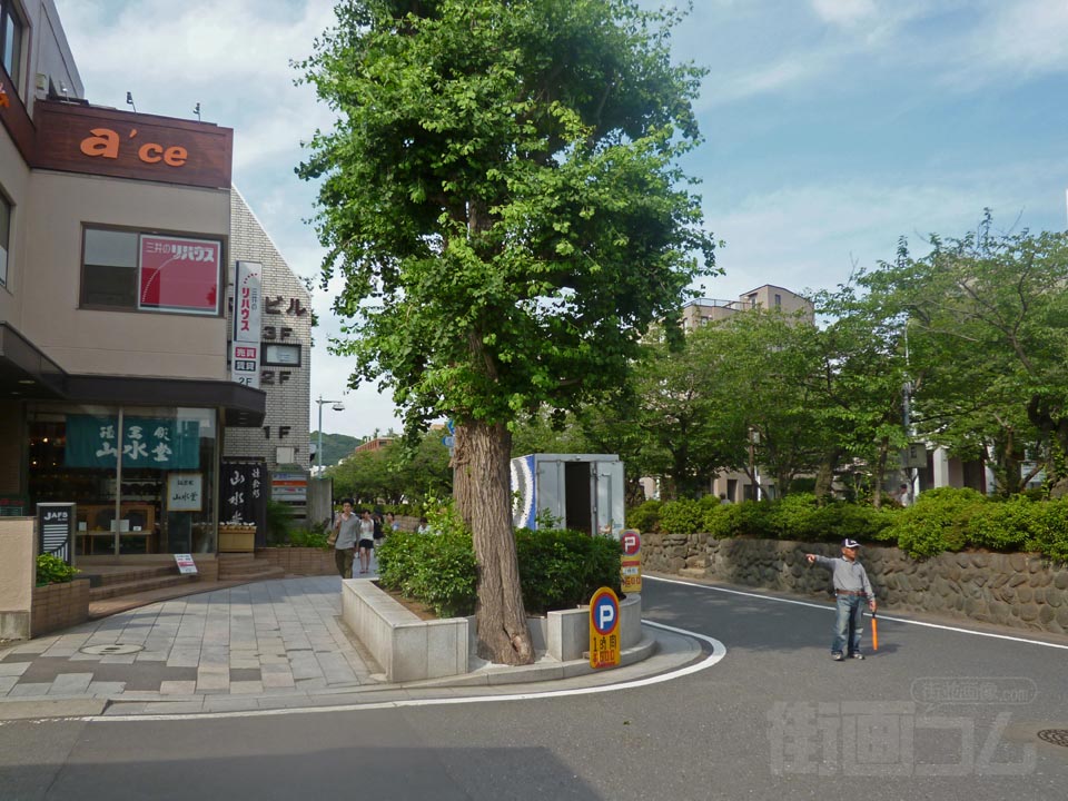 若宮大路(鶴岡八幡宮表参道)