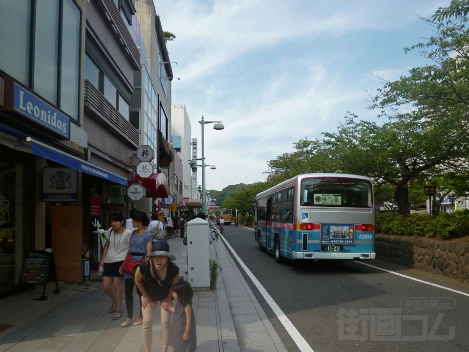 若宮大路(鶴岡八幡宮表参道)