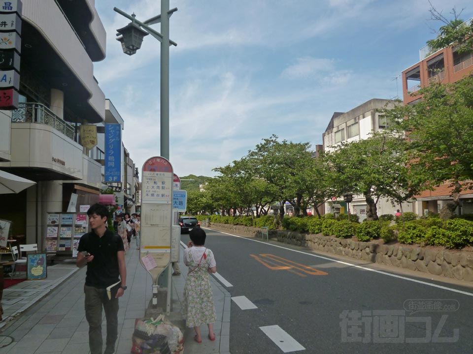 若宮大路(鶴岡八幡宮表参道)