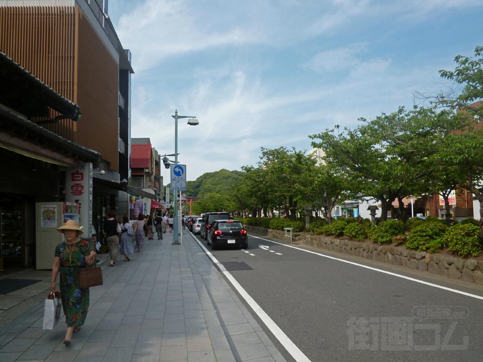 若宮大路(鶴岡八幡宮表参道)