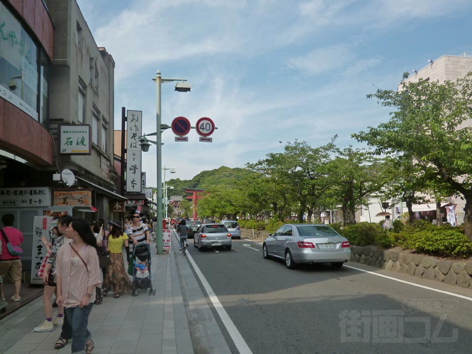 若宮大路(鶴岡八幡宮表参道)