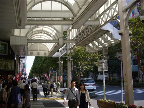 市役所通り写真画像