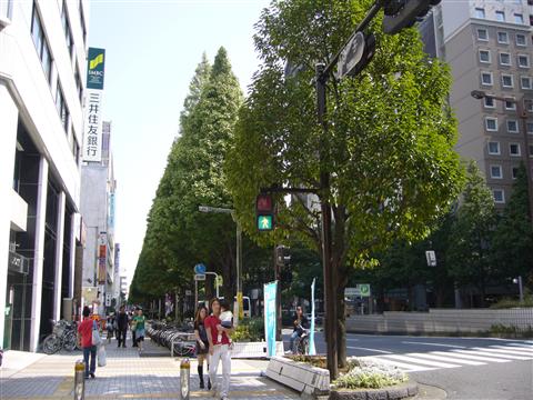 市役所通り写真画像