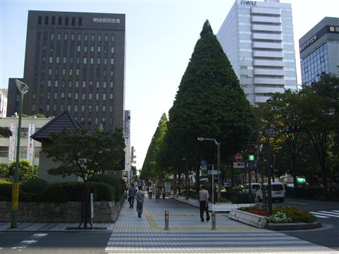 市役所通り写真画像