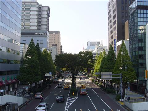 市役所通り写真画像