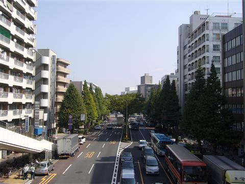 市役所通り写真画像