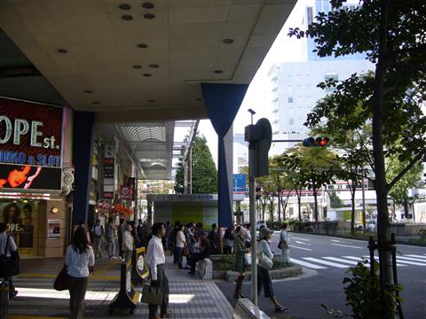 市役所通り写真画像