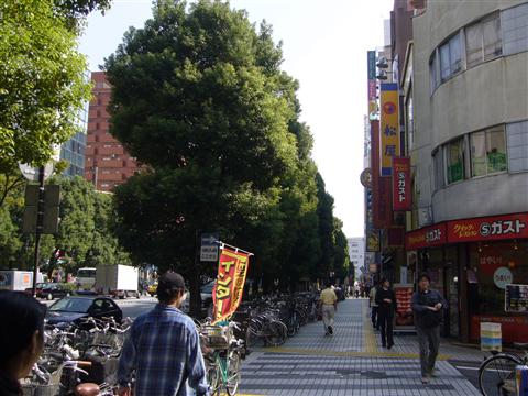 新川通り写真画像