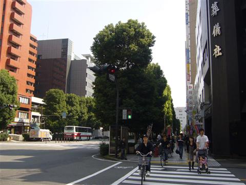 新川通り写真画像