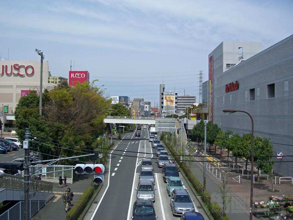 古淵なつつばき通り写真画像