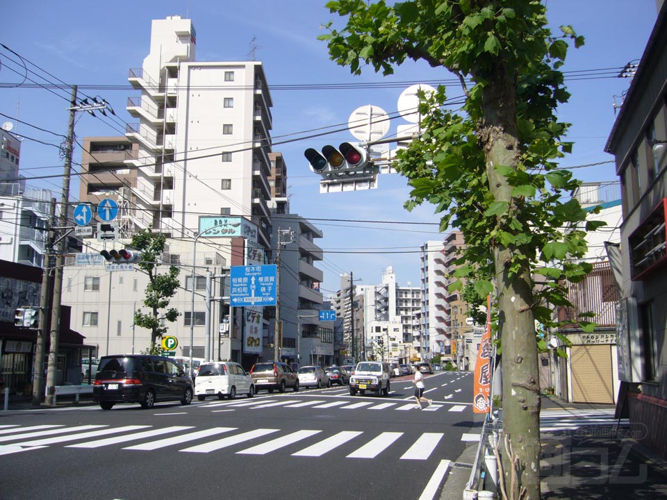 平戸桜木道路写真画像