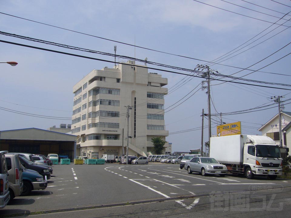 水産物卸売市場写真画像