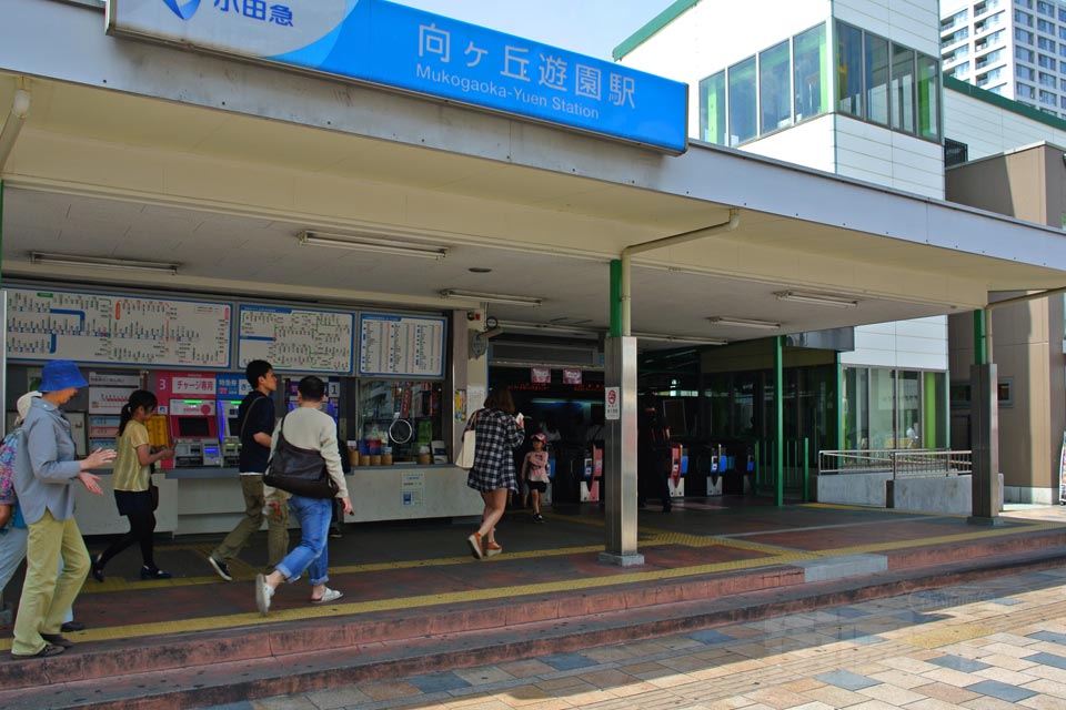 丘丘蛋_丘丘胶_丘丘人