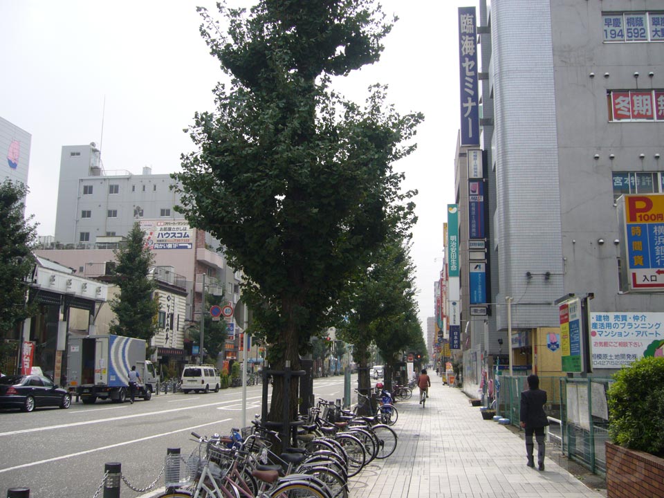 さがみ夢大通り