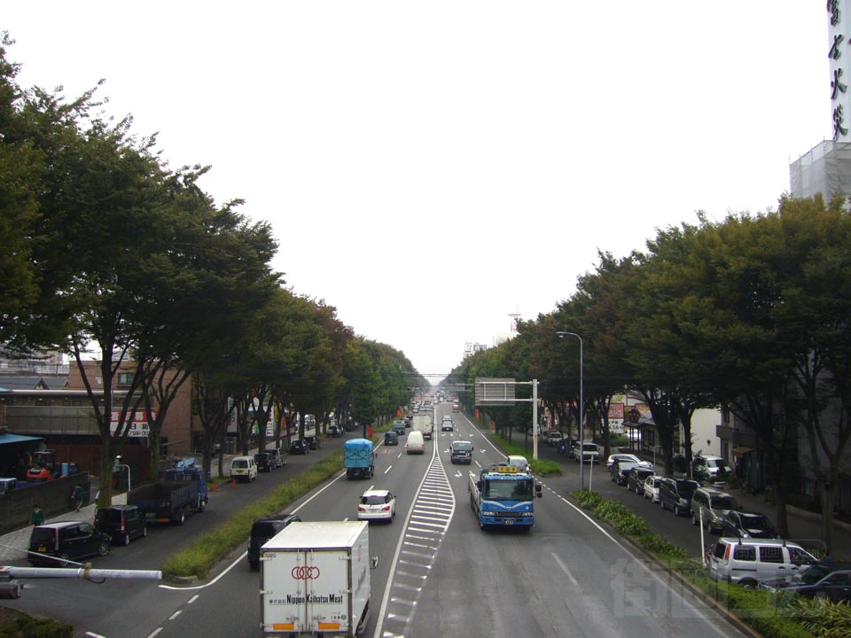 国道16号線