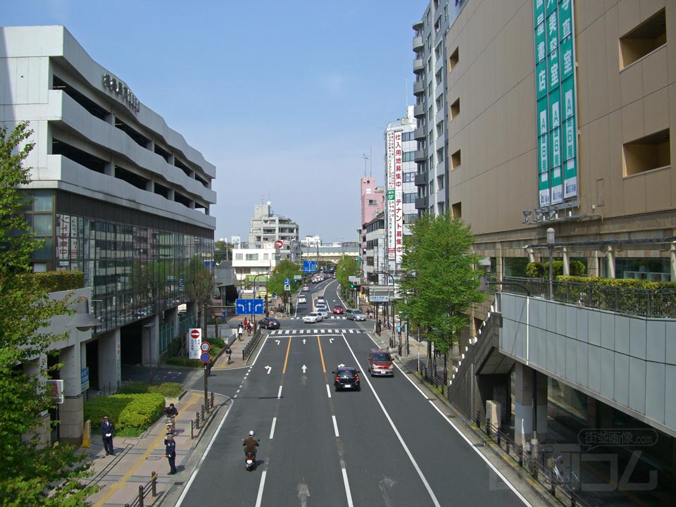 並木通り写真画像