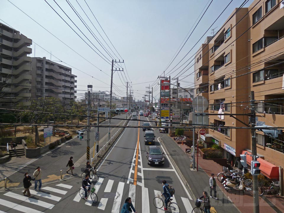 厚木街道(県道40号線)写真画像