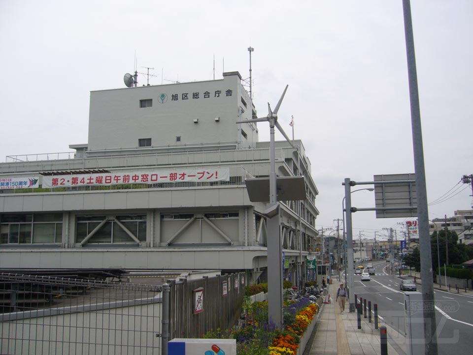 厚木街道写真画像
