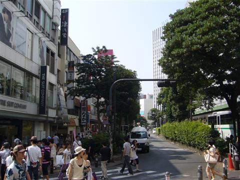 相鉄横浜駅前写真画像