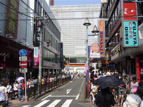 パルナード写真画像
