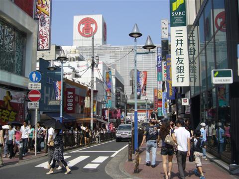 パルナード写真画像
