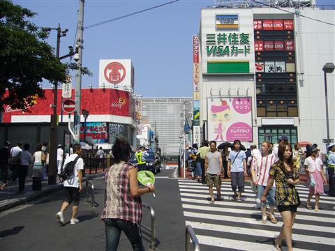 パルナード写真画像