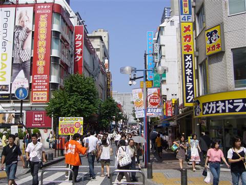 パルナード写真画像