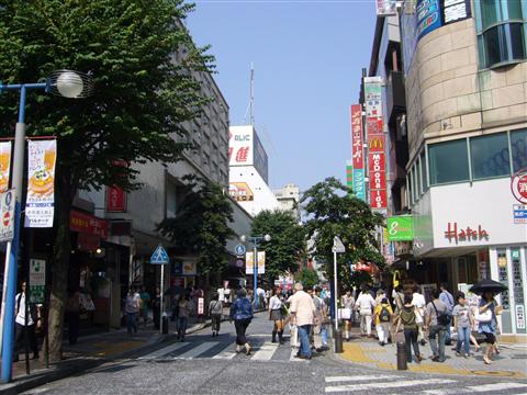 パルナード写真画像