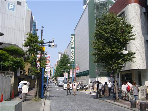 パルナード写真画像