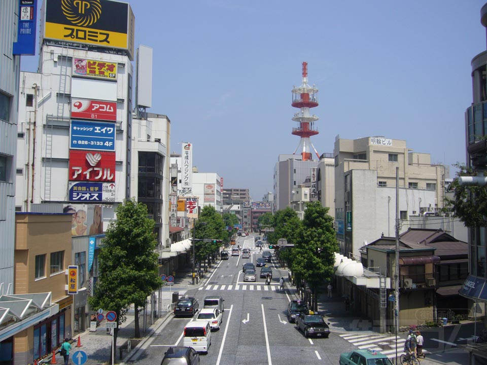 若松通り写真画像