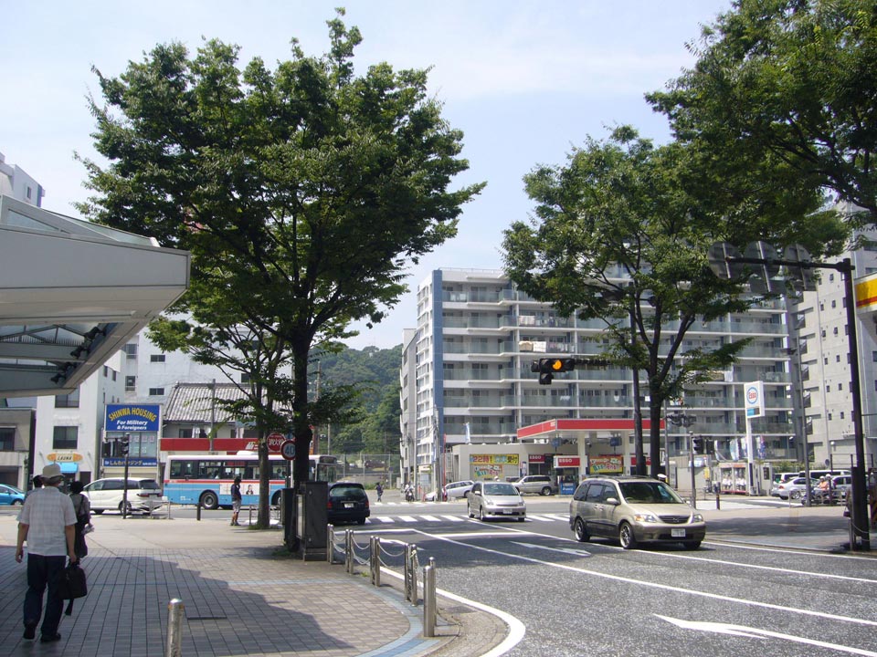 中央大通り写真画像
