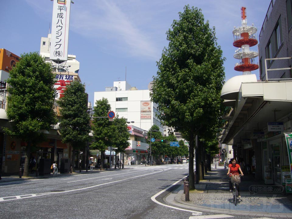 若松通り写真画像