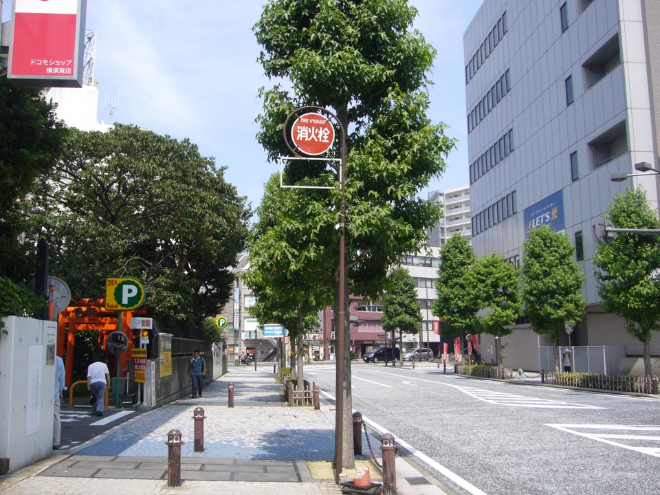 若松通り写真画像