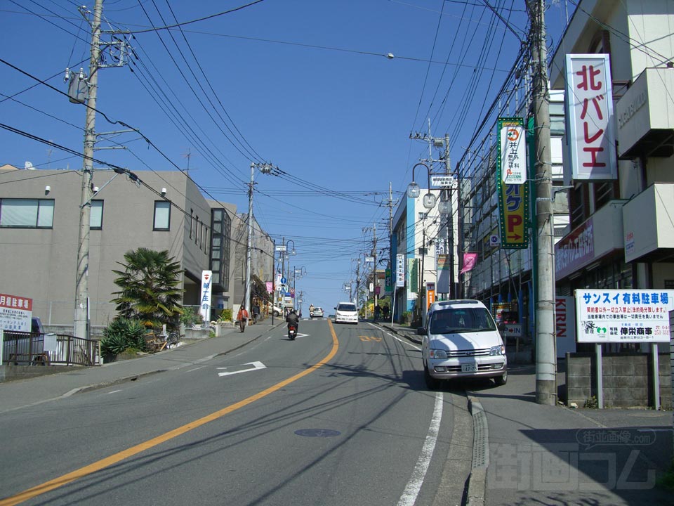 座間駅前商店街写真画像