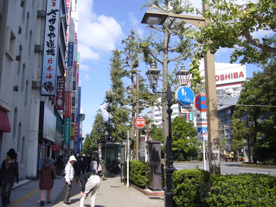 東大通り