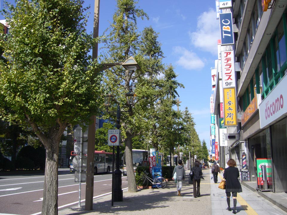 東大通り