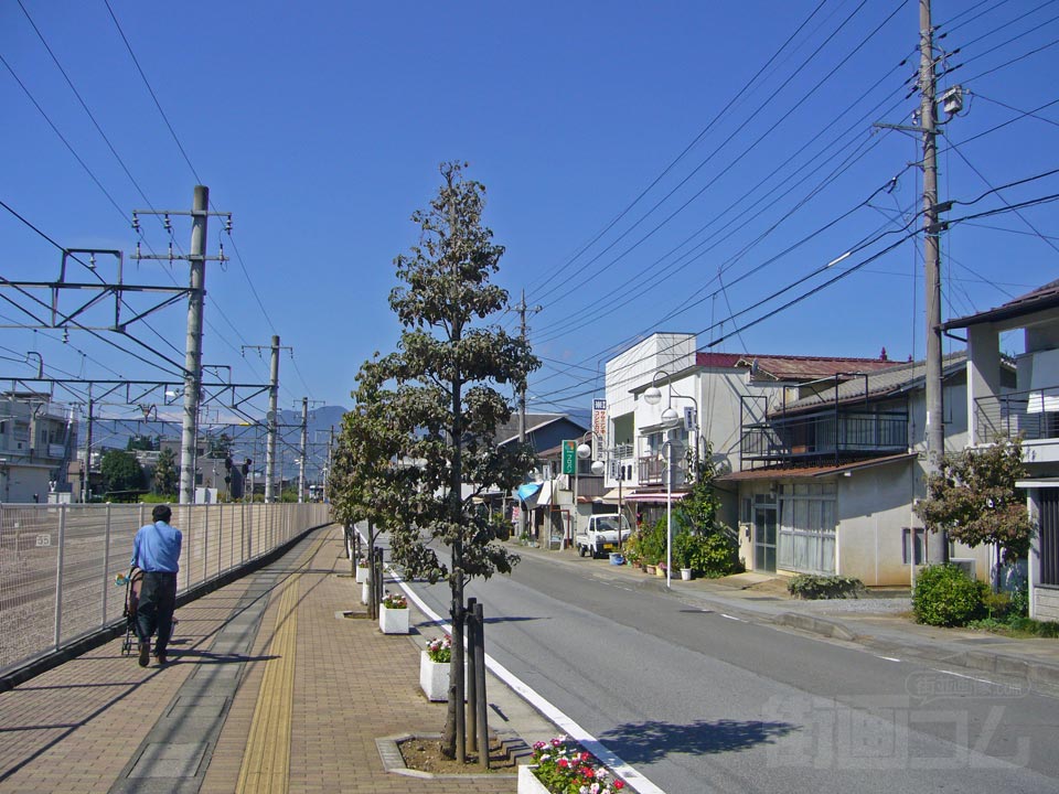 菅甘草屋敷通り