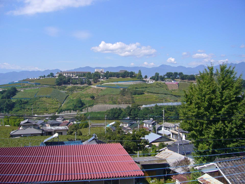 ぶどうの丘写真画像